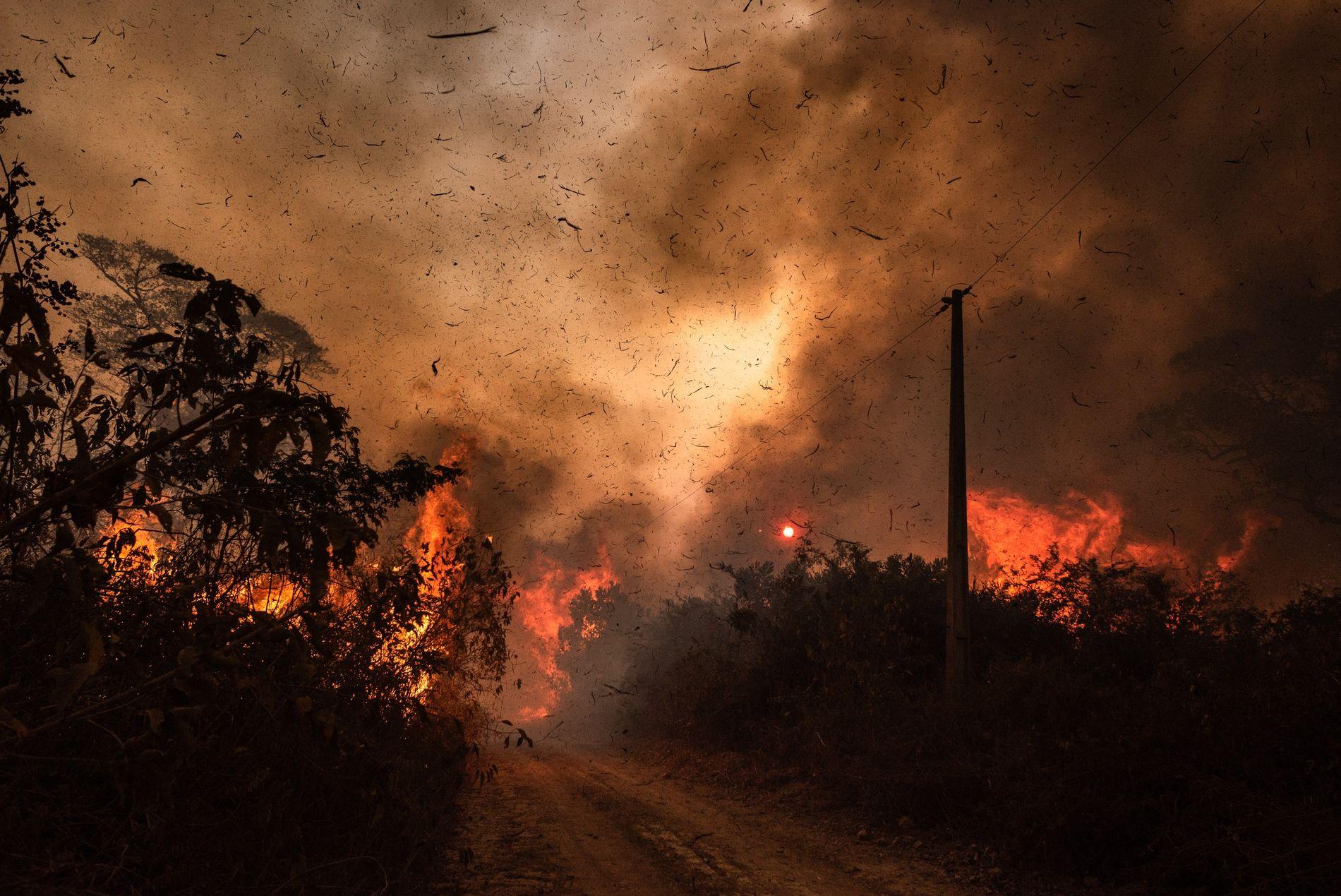 Alerta em Roraima: Focos de Incêndio Ameaçam Saúde e Meio Ambiente