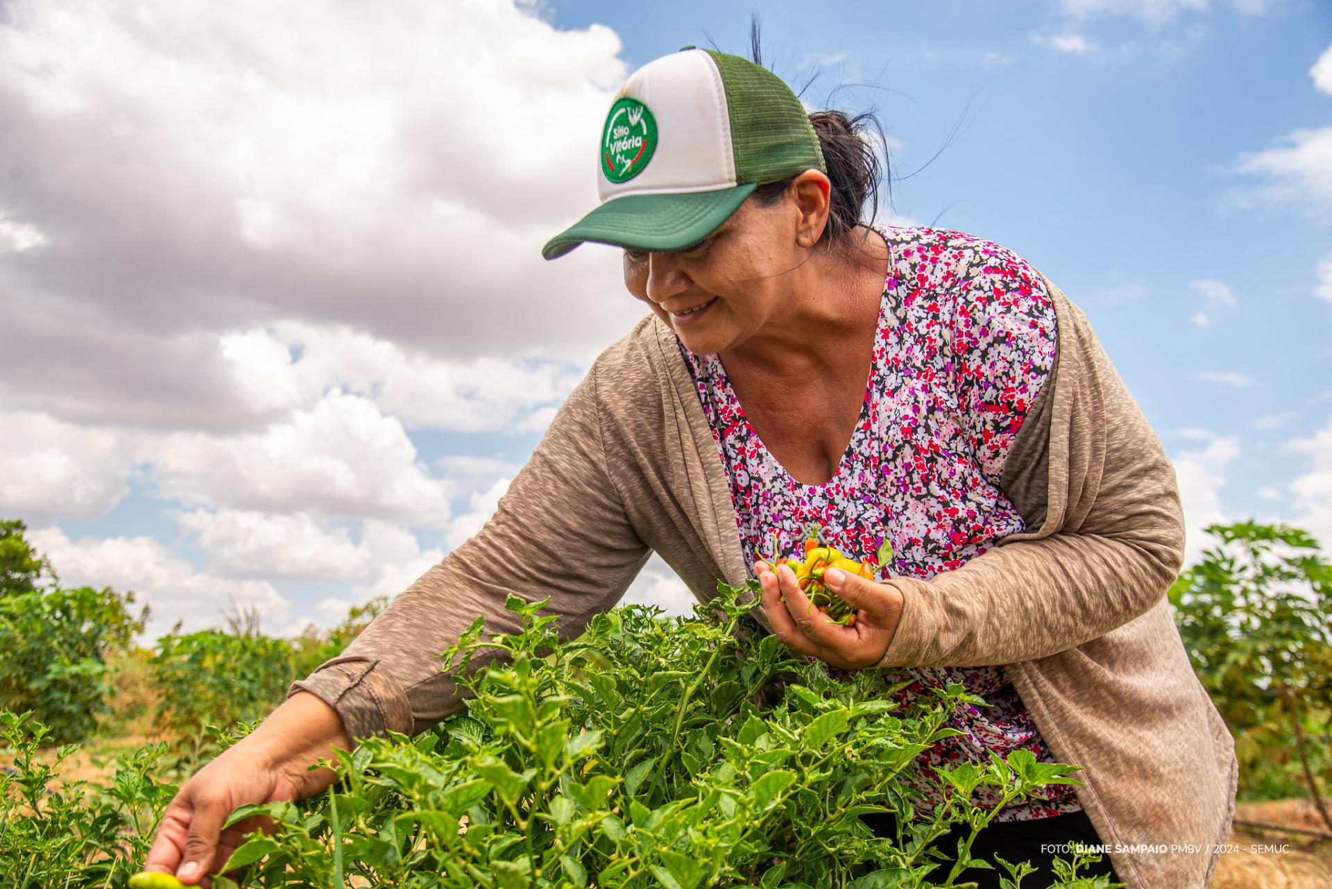 Mulheres se destacam na liderança de projetos na agricultura familiar de Boa Vista