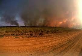 Polícia Civil investiga incêndios criminosos durante período de seca em Roraima