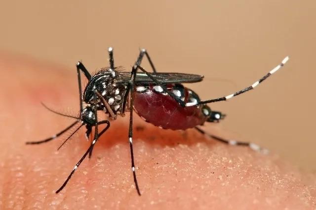 Roraima quase 1 milhão para a assistência farmacêutica como reforço no combate à dengue