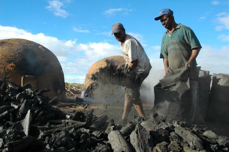 Pessoas negras são maioria entre resgatados do trabalho escravo contemporâneo
