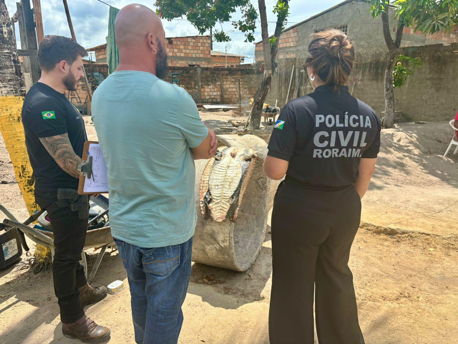 Polícia prende homem por abate ilegal de jacaré no Conjunto Cidadão