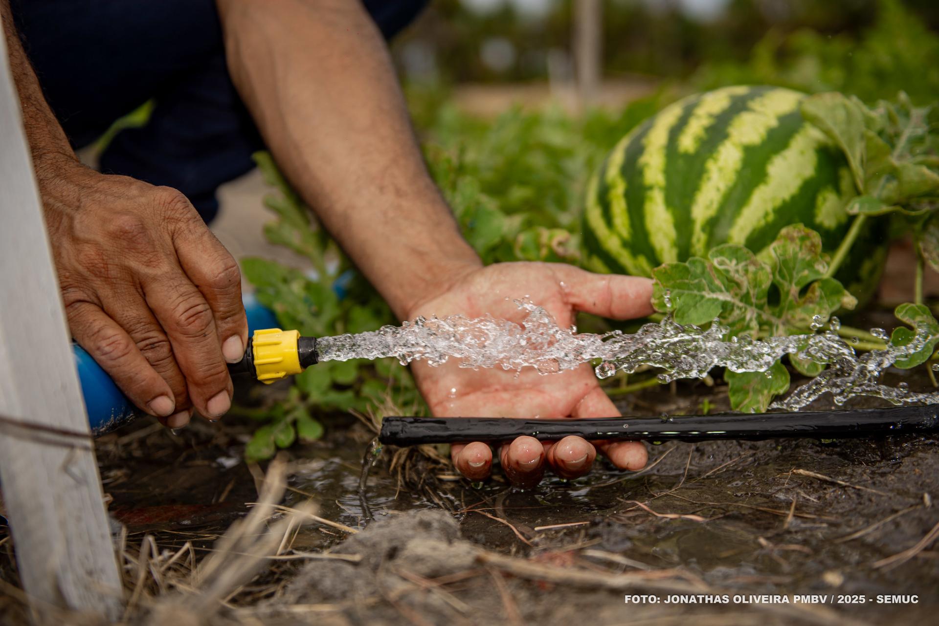 Irrigação com uso de energia solar reduz custo operacional e amplia capacidade de produção em comunidades indígenas de Boa Vista