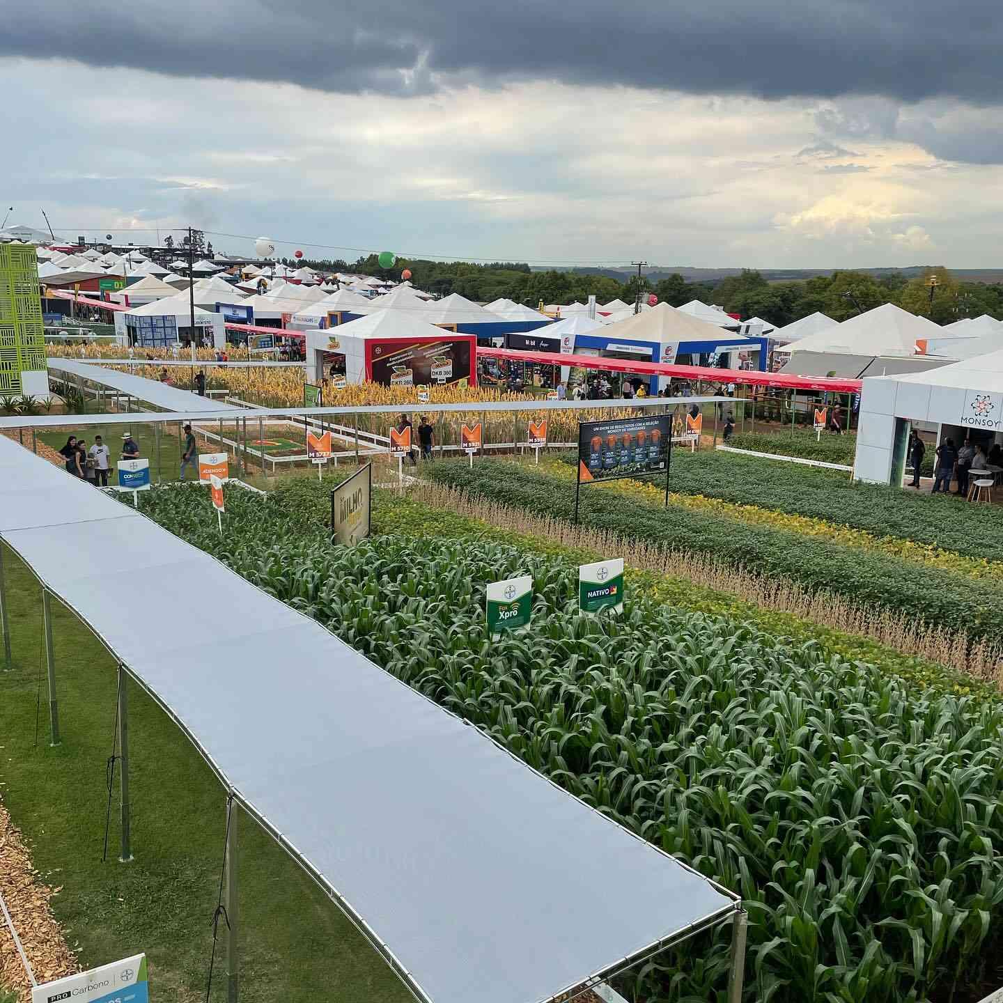 Roraima participa de feira de agronegócios no Paraná