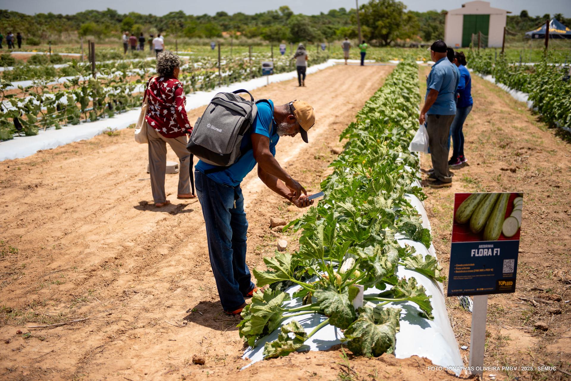 Dia de Campo em Hortifrúti 2025 reuniu cerca de 800 participantes no CDT