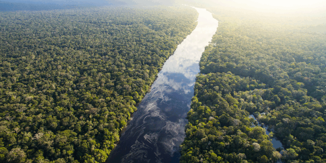 REPAM-Brasil e CNBB alertam para riscos do 