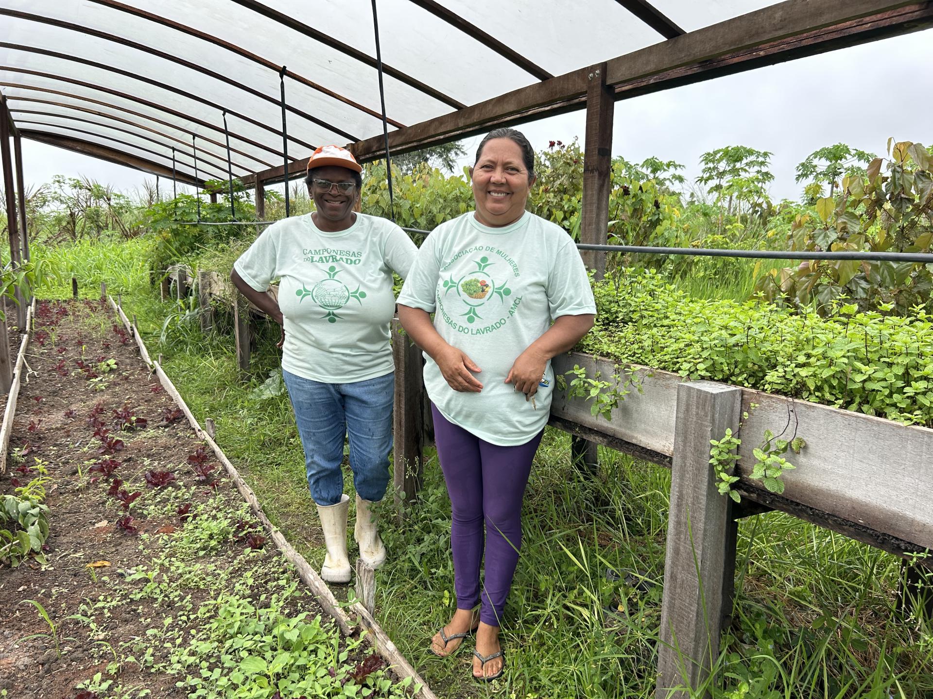 Camponesas do Lavrado: A Revolução Agroecológica de Mulheres no Campo
