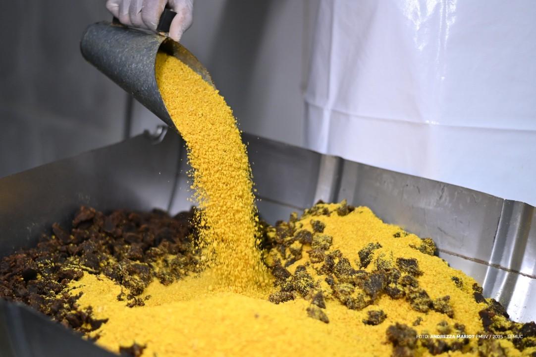 Em produção para quebrar mais um recorde, Maior Paçoca do Mundo completa 10 anos de tradição e sabor