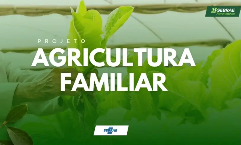 Feira da Agricultura Familiar retorna ao Espaço Sebrae Roraima a partir de 7