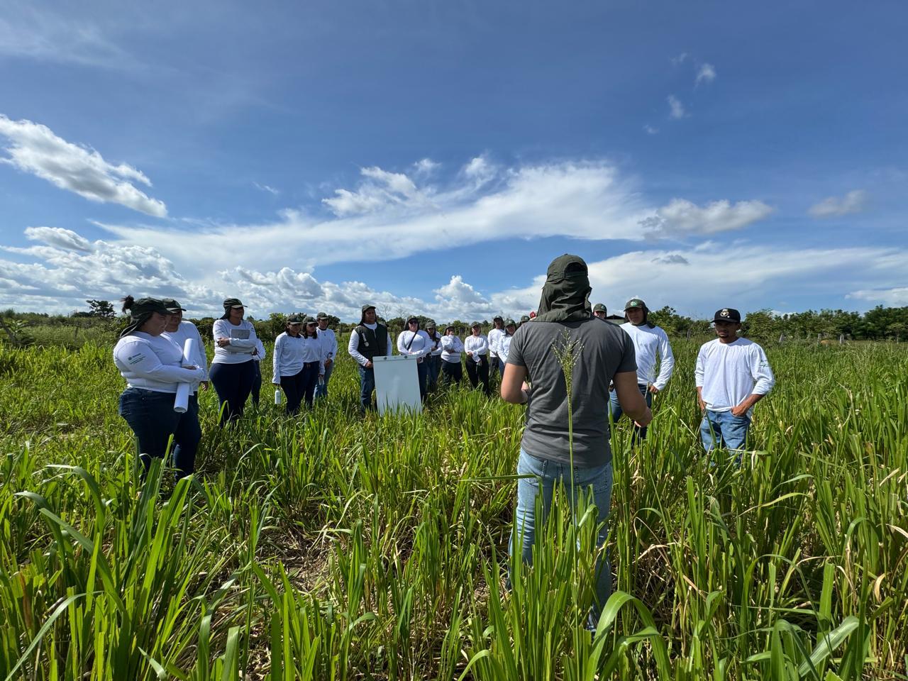 Capacitação do Agronorte em Roraima foca no manejo de pastagens