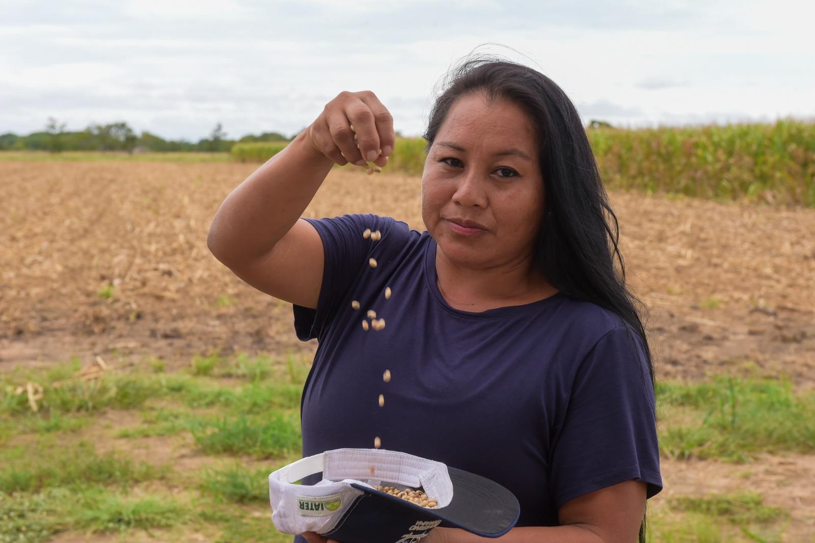 Governo de Roraima inicia cultivo de feijão-caupi em comunidade indígena
