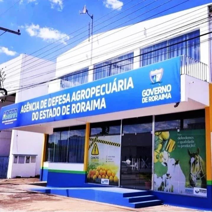 Aderr retoma fiscalização no Aeroporto de Boa Vista para conter mosca-da-carambola