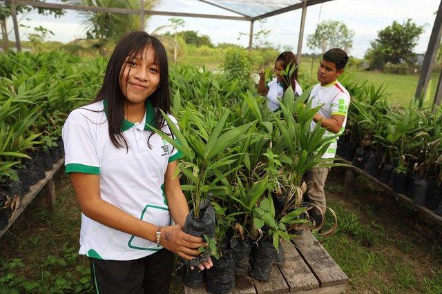 IFRR está com mais de 100 vagas abertas para estudantes em dois campus do interior