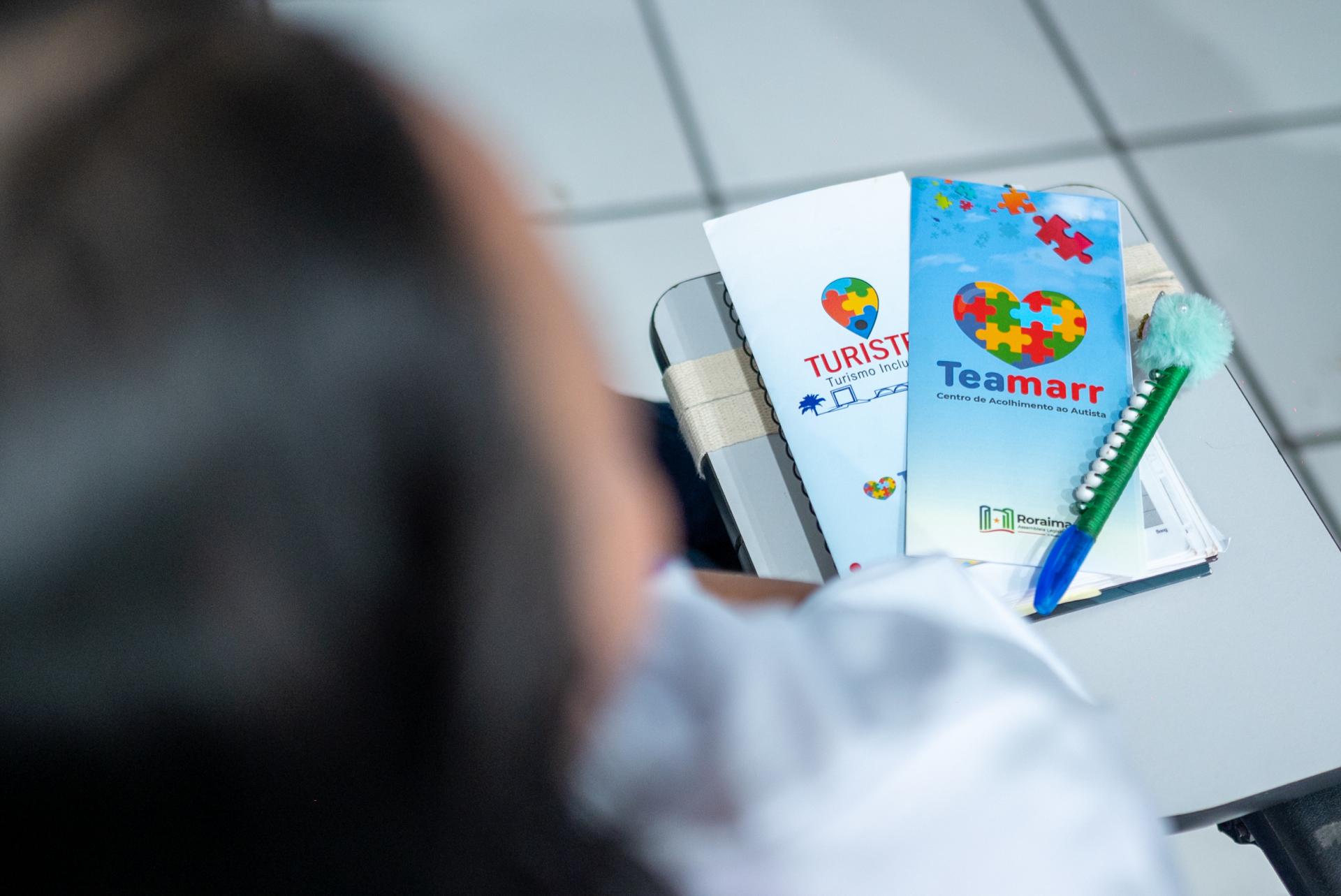 Minicurso do Teamarr aborda desafios do turismo inclusivo em Roraima