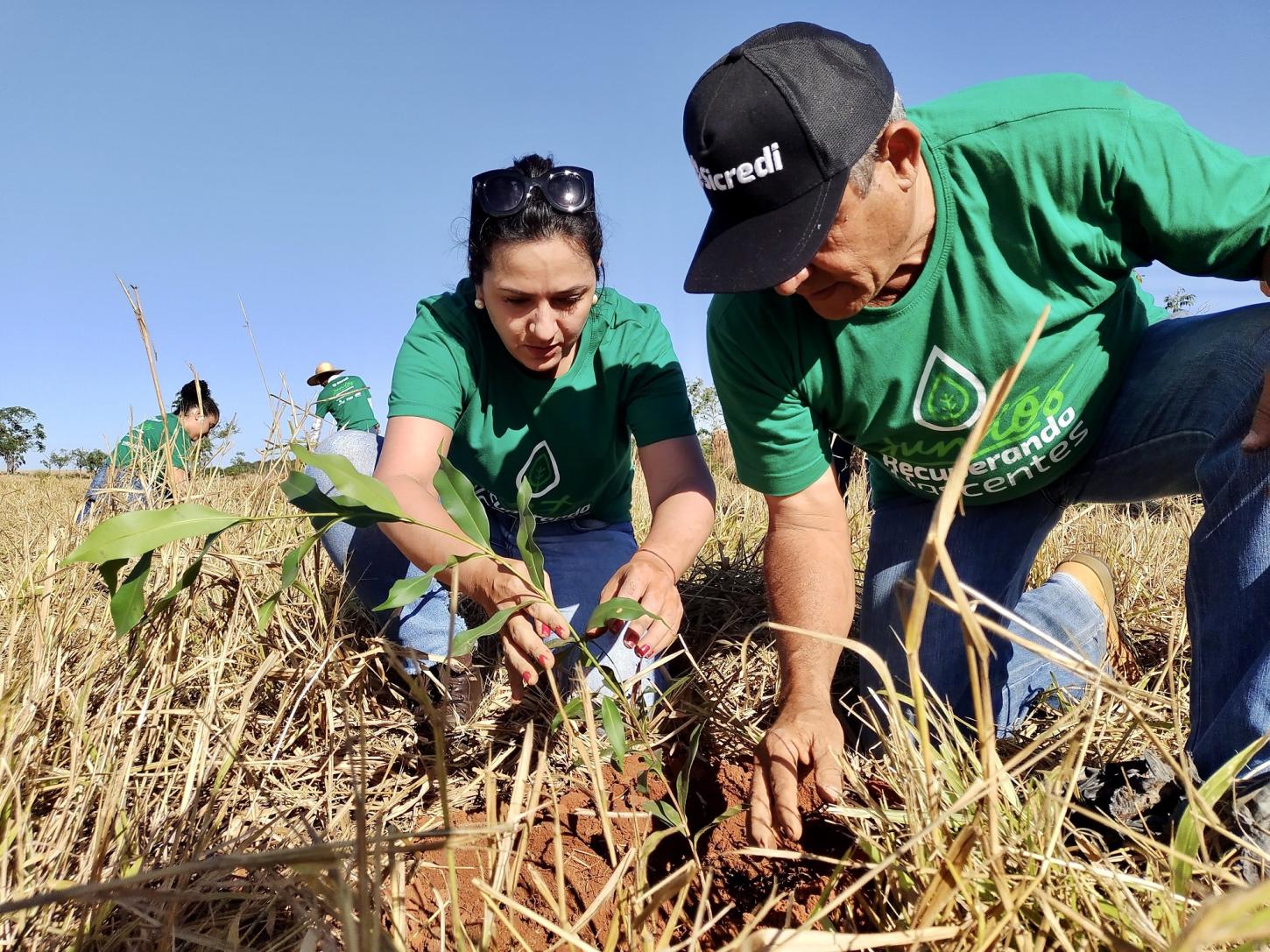 Sicredi leva à COP 30 iniciativas sustentáveis com foco no Norte e destaca ações que inspiram cooperativas de Roraima