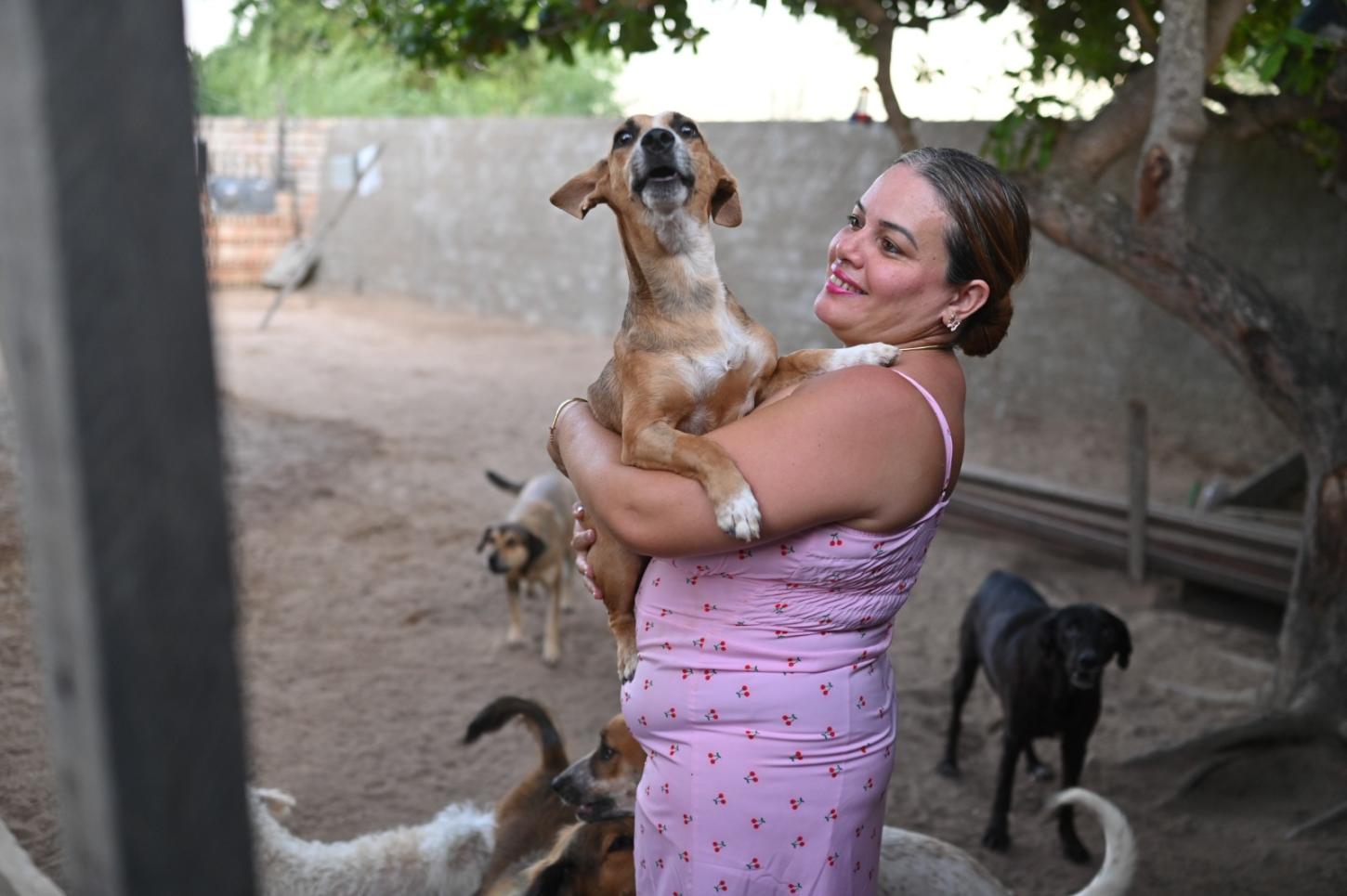Dezembro Verde mobiliza Roraima contra o abandono e os maus-tratos de animais