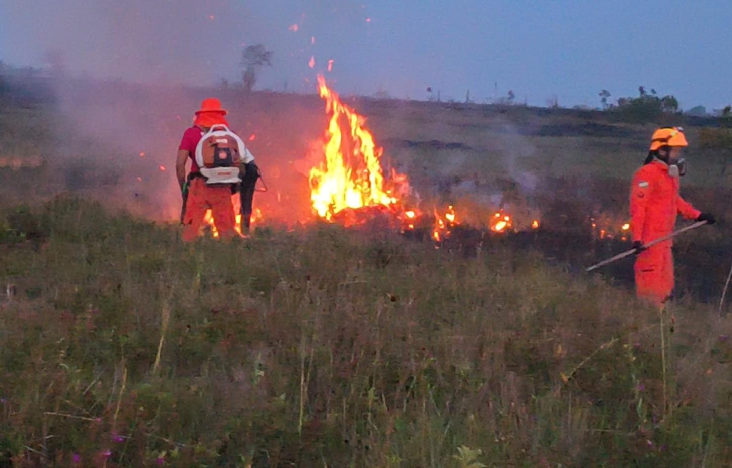 Governo intensifica combate às queimadas com bases avançadas em nove municípios