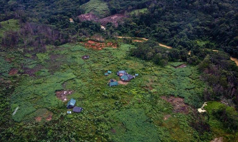Emergência Yanomami completa três anos com avanços em proteção e reconstrução do território