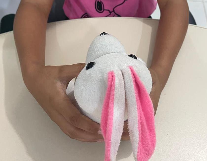 IFRR e Governo Federal lançam Escola de Conselhos de Roraima em fevereiro com 520 vagas em curso gratuito