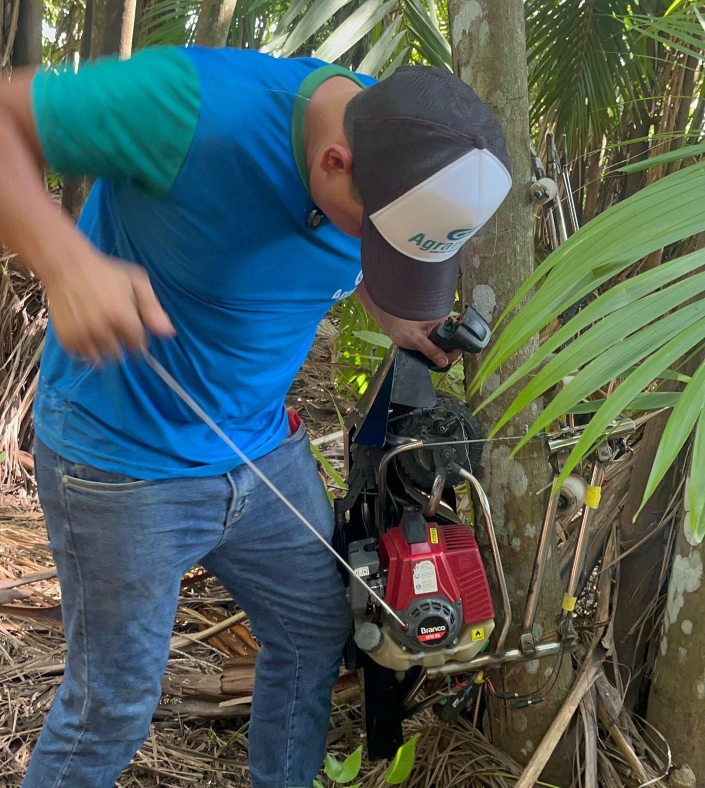 Sistema de tra&ccedil;&atilde;o do Climbot garante ader&ecirc;ncia ao tronco da palmeira durante a subida. Foto:: Luana de Oliveira