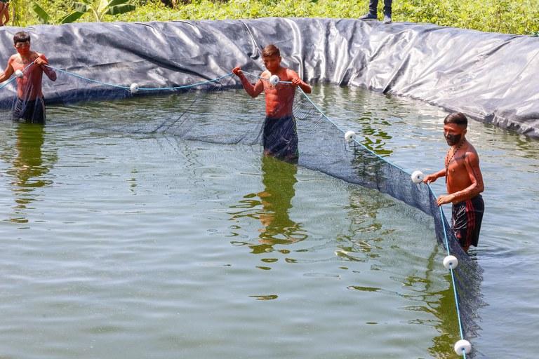 Ações federais reforçam soberania alimentar Yanomami