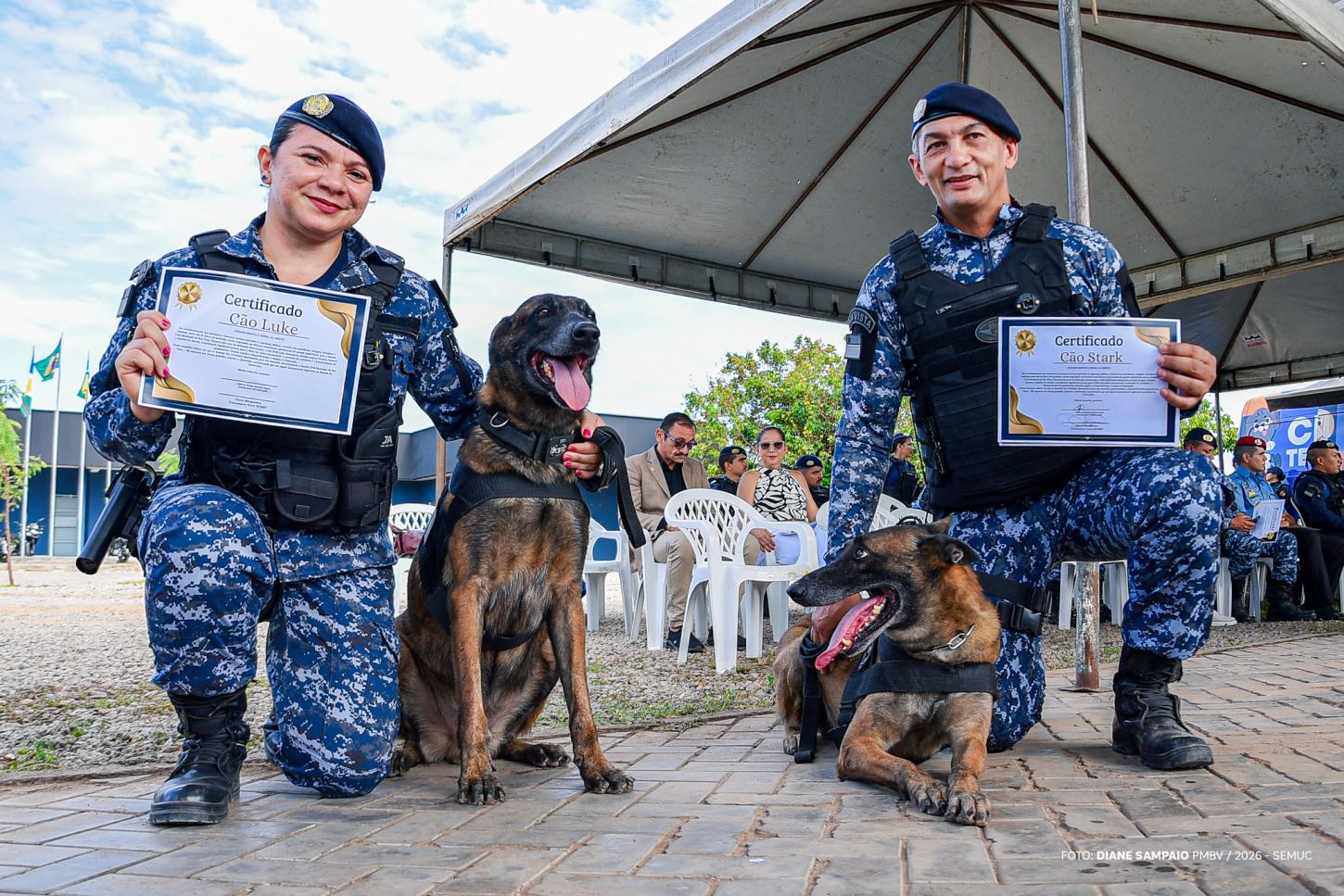 Após sete anos de atuação, cães da Guarda Civil Municipal se aposentam