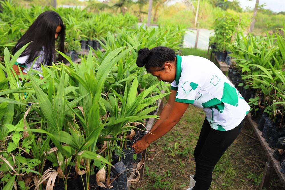 Edital seleciona projetos de extensão e oferta 37 bolsas para 2026 no IFRR