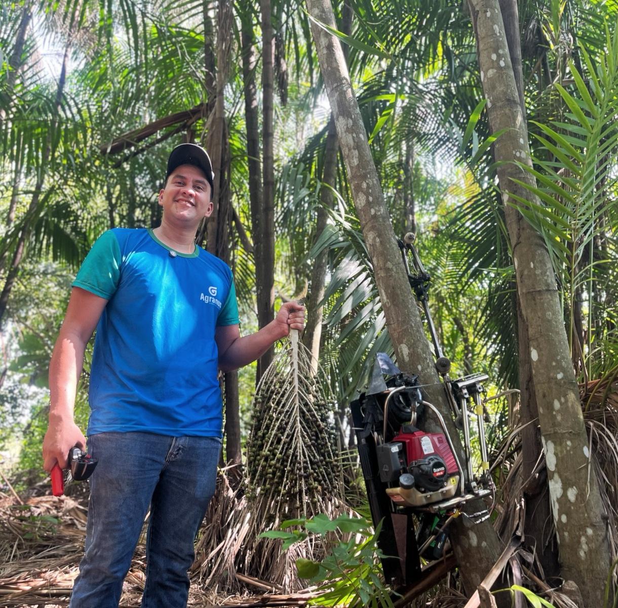 Entre a tradição e a inovação, tecnologia busca tornar mais segura a colheita do açaí em Roraima