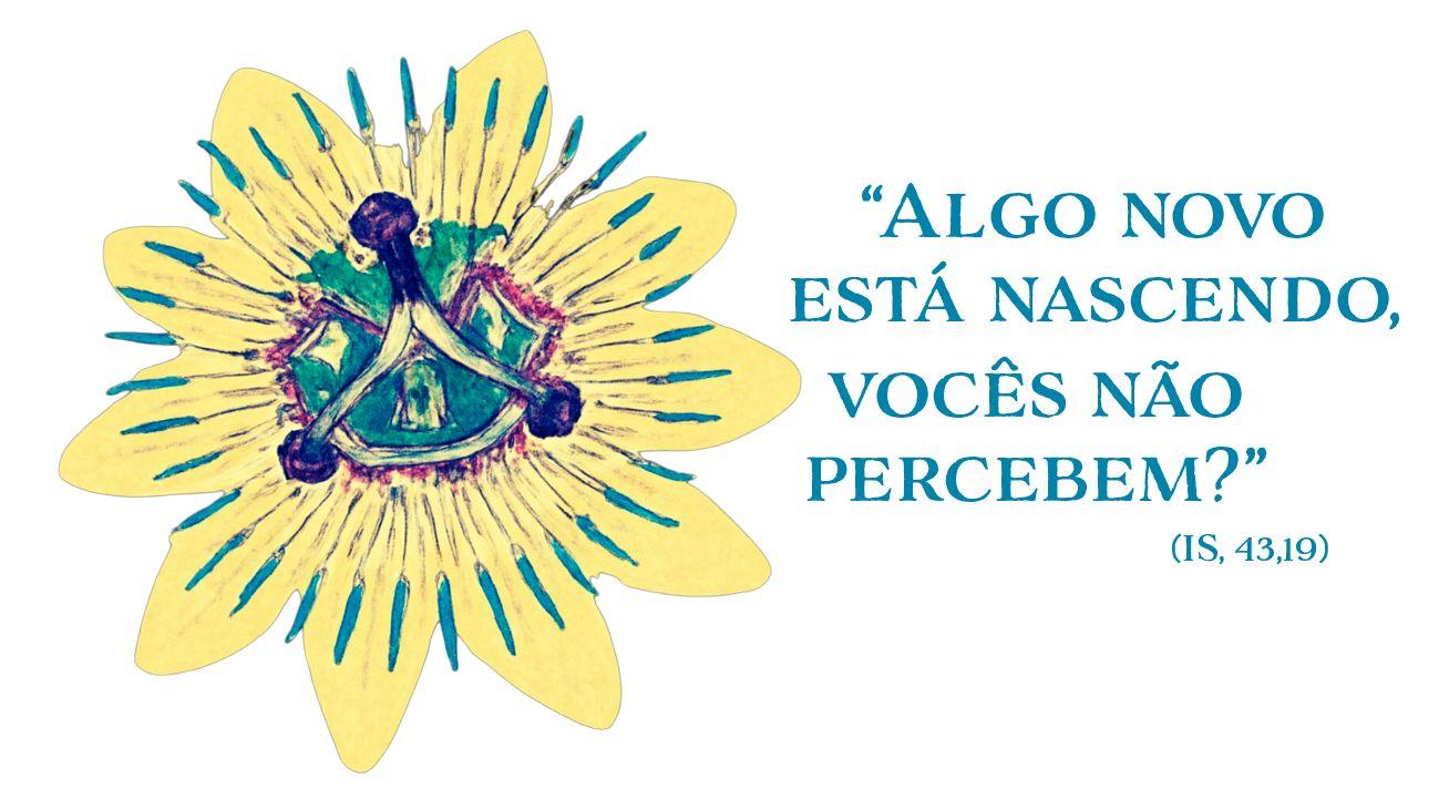 A CEAMA avança para sua VI Assembleia Geral: algo novo está nascendo na Amazônia