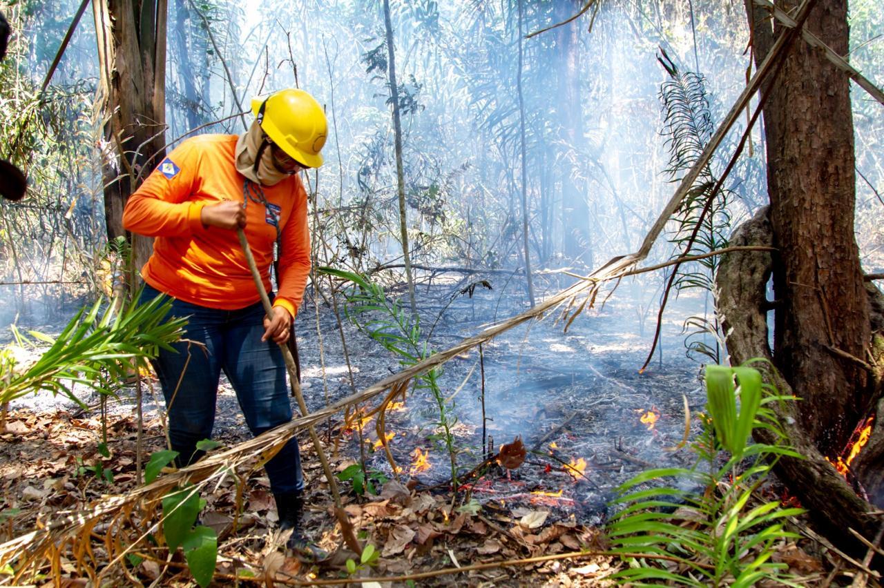 ALERR aprova Política Estadual de Segurança Contra Incêndios