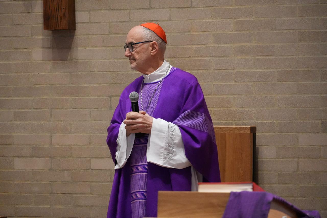 Cardeal Michael Czerny: “A Amazônia é um lugar onde aprendemos novas formas de cuidar da criação”