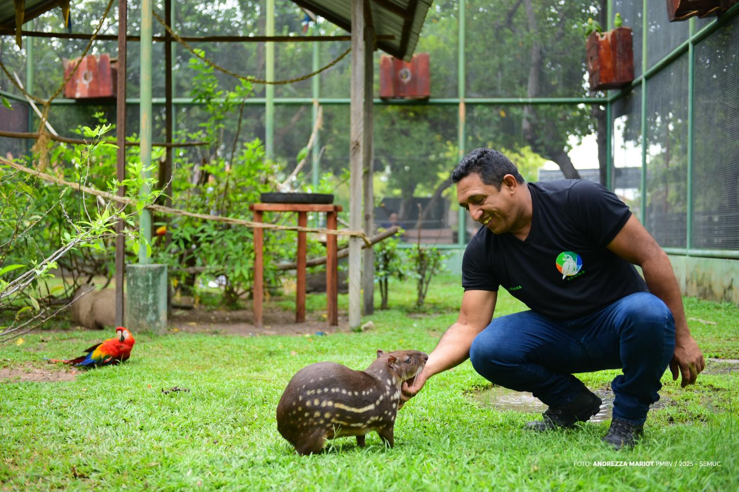 Prefeitura abre cadastro para protetores e entidades da causa animal em Boa Vista