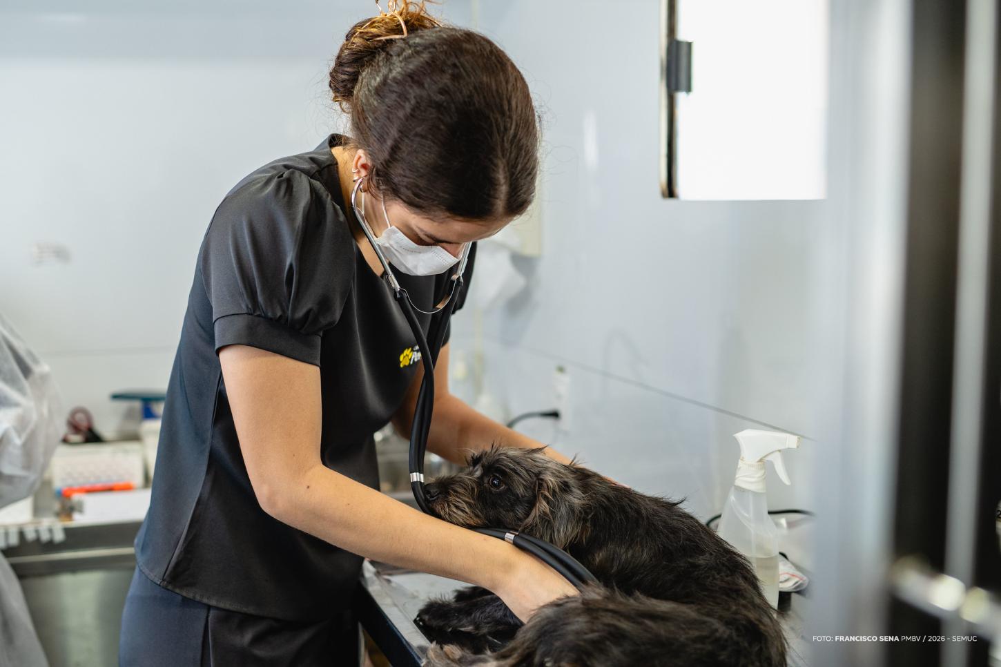 Castra Móvel leva esterilização gratuita a cães e gatos em Boa Vista