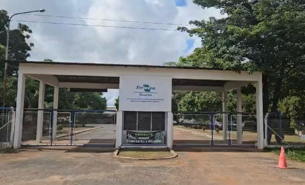 Cultivo de grãos será tema de encontro da Embrapa Roraima nos dias 9 e 10 de abril