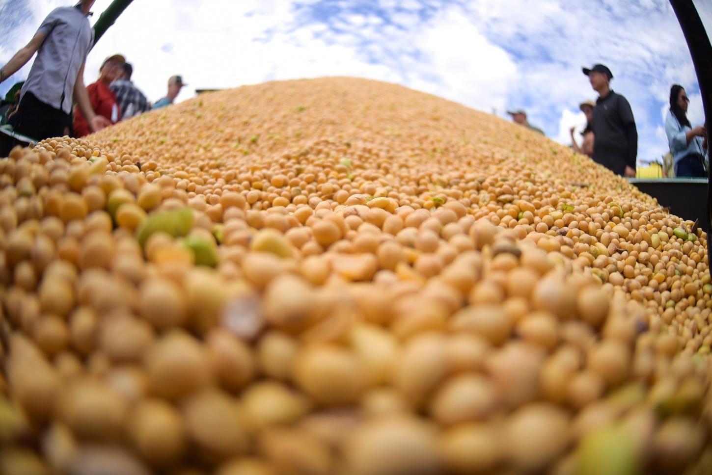 Eficiência na gestão coloca Roraima entre líderes nacionais em captação de recursos