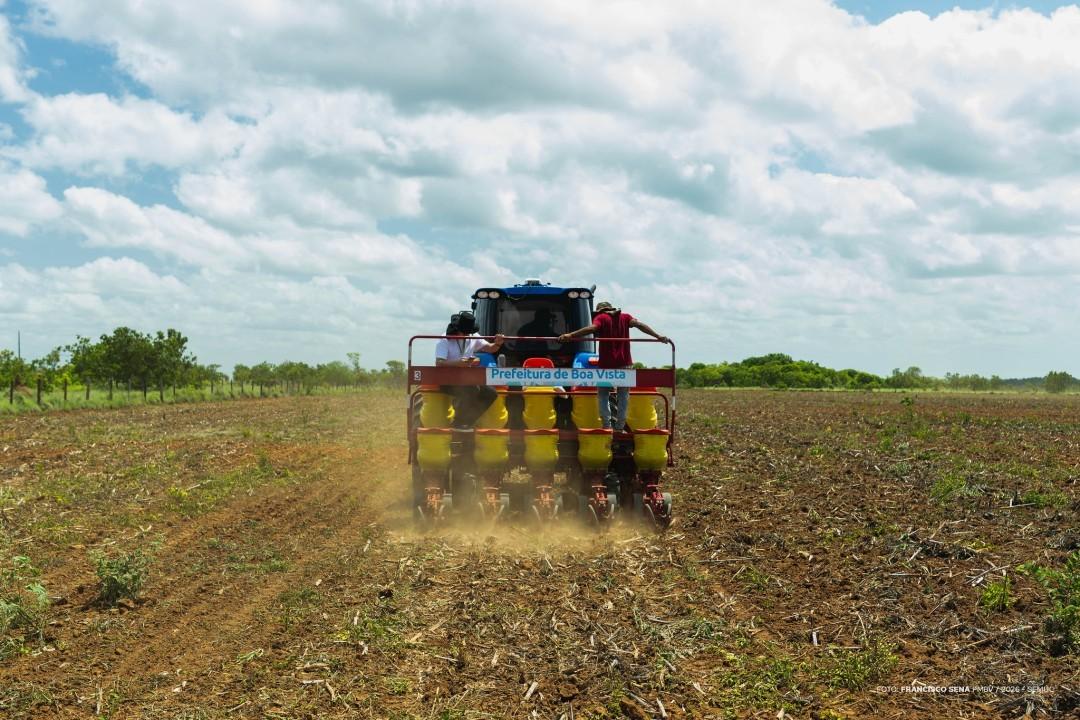 Boa Vista amplia apoio ao plantio de milho e soja durante período chuvoso