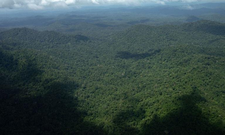 Avanço do garimpo na Terra Yanomami desacelera e novas áreas caem 99%