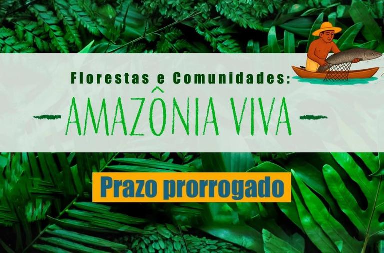 Conab adia divulgação do resultado preliminar da Chamada Pública Florestas e Comunidades: Amazônia Viva