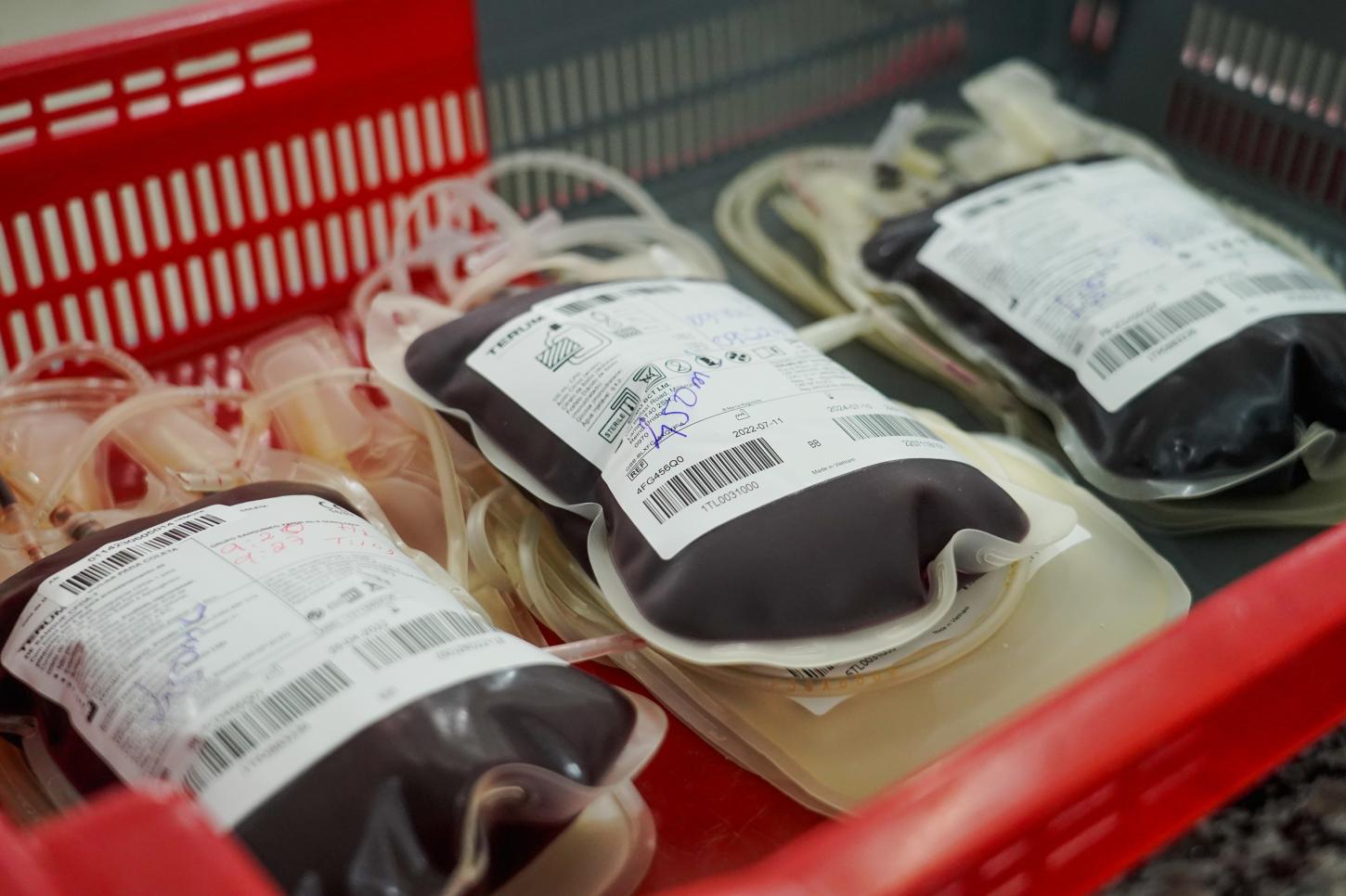Dia Mundial do Doador de Sangue: ALERR destaca leis que incentivam a doação em Roraima