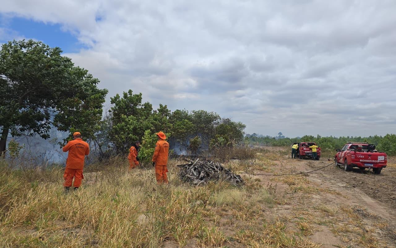 Governo retoma qualificação de brigadistas e prevê certificar mais de 1,2 mil bombeiros civis