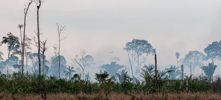 Ibama inicia Operação Apoena para prevenir incêndios florestais na Amazônia