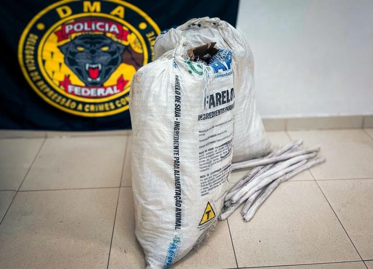 PF apreende 780 kg de produtos químicos e 200 kg de explosivos em imóvel de Boa Vista