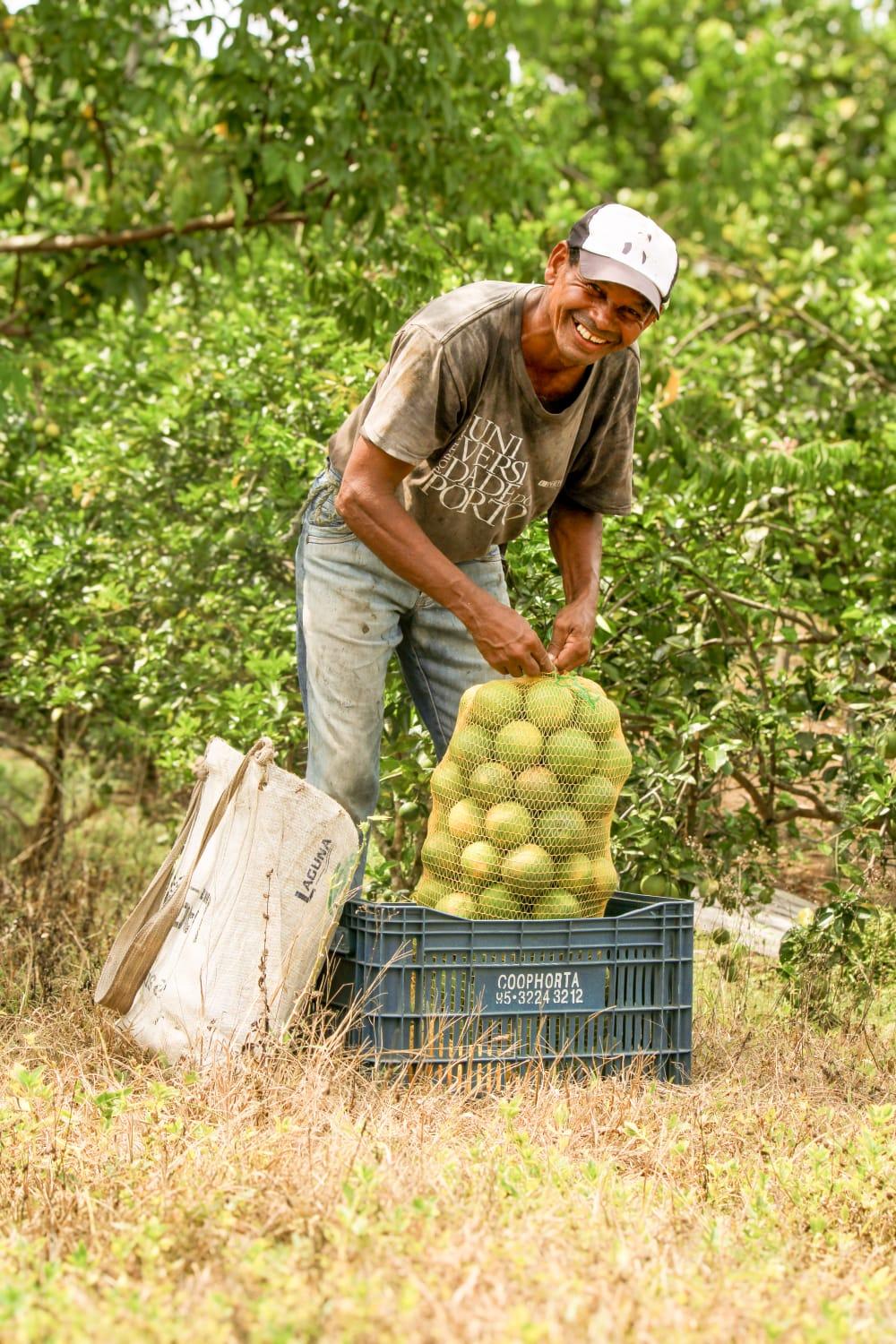 Diversidade no campo gera renda em Rorainópolis com apoio do Sebrae Roraima