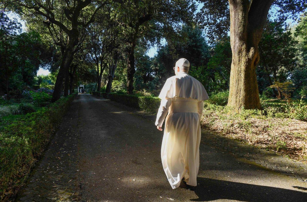 Papa: a paz começa no coração e se estende ao cuidado da criação
