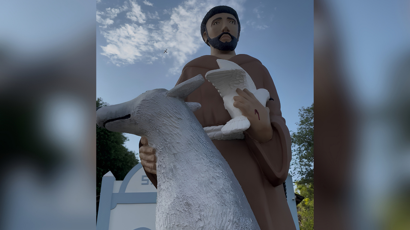 Bênção dos animais integra programação da festa de São Francisco das Chagas