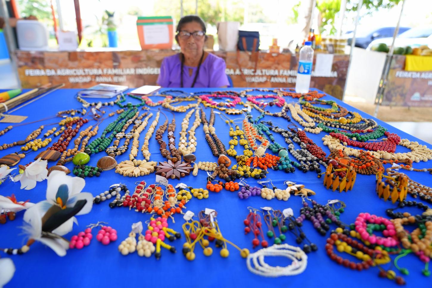 Festival Indígena Anna Eseru reúne cultura e tradição em Roraima