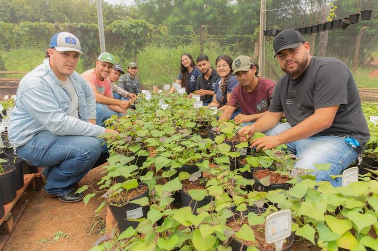 Pronatec tem mais de 700 vagas verdes para qualificação profissional na Região Norte