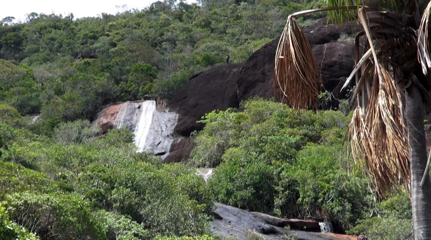 Roraima estabelece critérios para criação e ampliação de unidades de conservação