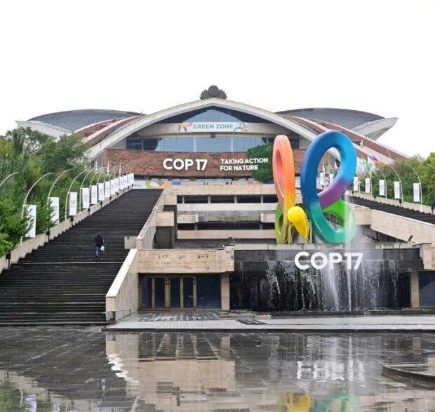 APIB cobra proteção efetiva dos territórios indígenas na COP 17