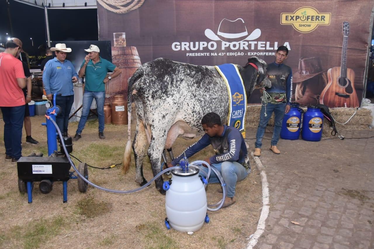 Pecuária em destaque: Roraima terá cinco dias de leilões, rodeio e competições no Dandãezinho